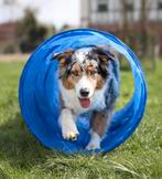 Agility benodigdheden, Dieren en Toebehoren, Ophalen of Verzenden, Nieuw, Behendigheidspeelgoed