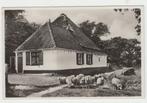 De Koog, Texel, Paviljoen De Buteriggel NH4-48, Ophalen of Verzenden, 1960 tot 1980, Gelopen, Waddeneilanden