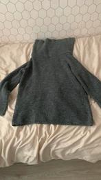 Tienermeisjes trui, Ophalen of Verzenden, Zo goed als nieuw, Grijs