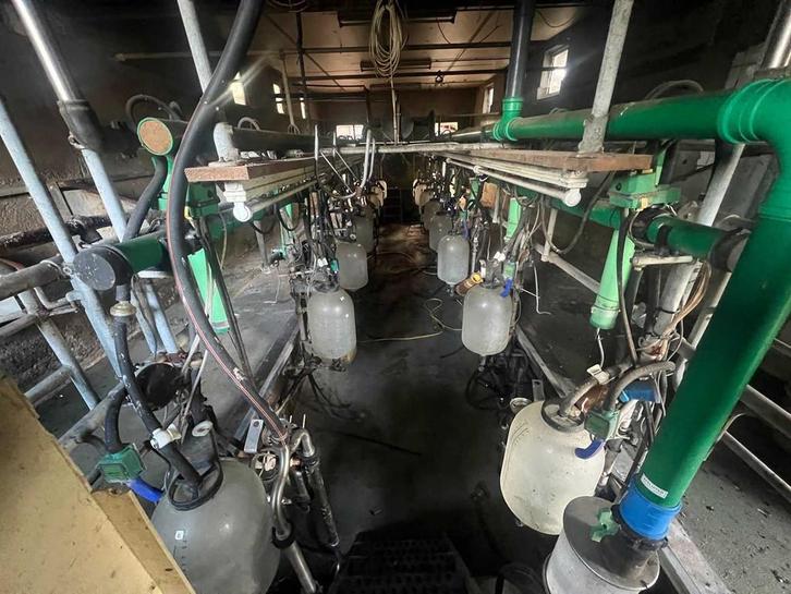 Manus/DeLaval - Milking System, Zakelijke goederen, Agrarisch | Werktuigen, Overige, Melktechniek
