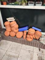 diverse postduivenspullen, Overige soorten