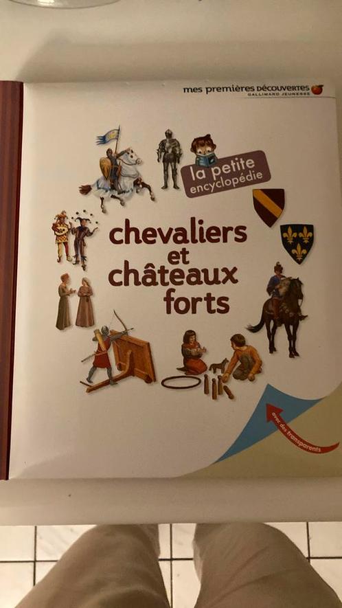 Chevaliers en chateaux forts, Boeken, Kinderboeken | Jeugd | 10 tot 12 jaar, Zo goed als nieuw, Ophalen of Verzenden