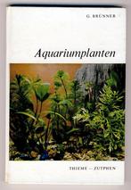Aquariumplanten - G. Brunner, Dieren en Toebehoren, Vissen | Aquaria en Toebehoren, Ophalen of Verzenden, Plant(en), Steen of Hout