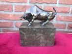 WOESTE STIER, brons en marmer, Ophalen of Verzenden, Brons