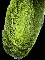 Moldaviet XL 48,81g - Besednice Stoh - Onbeschadigd, Ophalen of Verzenden, Mineraal