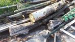 kachelhout haardhout boomstammen, Tuin en Terras, 3 tot 6 m³, Ophalen, Overige houtsoorten, Stammen