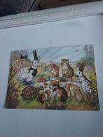 MOLLY BRETT. PICKNIC. FOR PETS, Ophalen of Verzenden