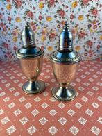 Zilveren zout en peperstrooiers, 2 stuks, Engels, Ophalen of Verzenden, Zilver