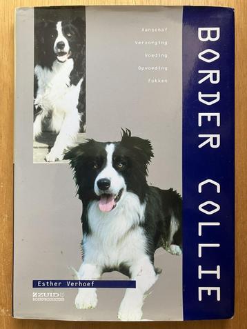 Border Collie - Esther Verhoef beschikbaar voor biedingen