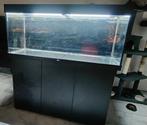 Juwel rio 240, Dieren en Toebehoren, Ophalen, Zo goed als nieuw, Leeg aquarium