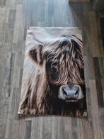 Schotse Hooglander Poster, Nieuw, Ophalen of Verzenden, Foto of Poster, 75 cm of meer