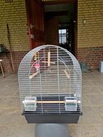 VOGELKOOI, Dieren en Toebehoren, Ophalen, Gebruikt, Metaal, Vogelkooi