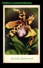 Berend Dam uit serie bloemen met rijm, Ophalen of Verzenden, 1940 tot 1960, Ongelopen, Overige thema's