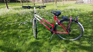 Sportieve GIANT Ladoga  Roze / Wit - 21 versnellingen - beschikbaar voor biedingen