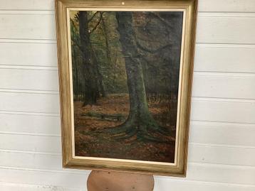 SCHILDERIJ BOS GEZICHT. beschikbaar voor biedingen