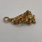 Goud Nugget Specimen uit Alaska 15,26g Necklace, Ophalen of Verzenden, Goud