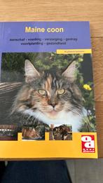 Maine Coon, Ophalen of Verzenden, Zo goed als nieuw, Honden