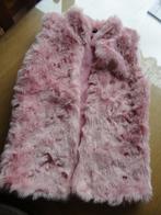 roze hesje/ bodywarmer, Gebruikt, Meisje, Trui of Vest, Ophalen of Verzenden
