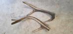 Set afwerpstangen geweien, Ophalen of Verzenden, Zo goed als nieuw, Beeldje of Figuurtje