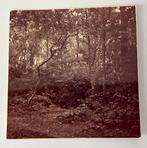 Fotootje Oudemirdum uit 1958, Natuur, Gebruikt, Foto, Ophalen of Verzenden