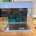 Superfish panorama aquarium 50L, Ophalen, Zo goed als nieuw, Leeg aquarium