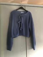 Vestje maat L, Kleding | Dames, Truien en Vesten, Blauw, Maat 42/44 (L), Ophalen of Verzenden, Amy & Ivy