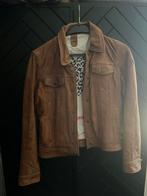 Gipsy leren jas, Kleding | Dames, Ophalen of Verzenden, Zo goed als nieuw, Bruin