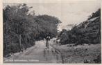 valkenisse  natuurschoon wandelaar 1950, Ophalen of Verzenden, Voor 1920, Noord-Brabant
