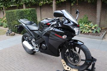 Honda CBR 125R - Lage KM-stand - Nieuwe banden! beschikbaar voor biedingen