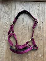 Halster cob, Ophalen of Verzenden