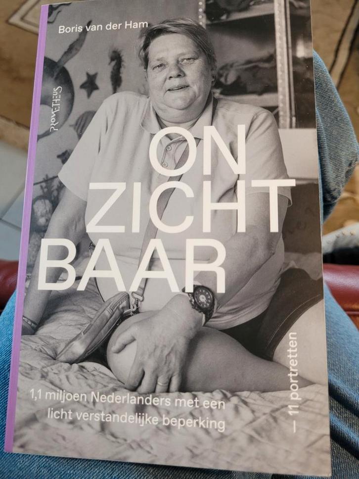 Onzichtbaar - Boris van de Ham, Boeken, Literatuur, Ophalen of Verzenden