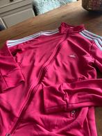 Trainingspak adidas maat 44/l, Kleding | Dames, Sportkleding, Overige typen, Maat 42/44 (L), Ophalen of Verzenden, Zo goed als nieuw