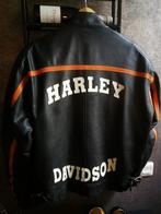 Harley davidson leren jack maat: L i.z.g.s., Motoren, Kleding | Motorkleding, Ophalen, Tweedehands, Dames, Jas | leer