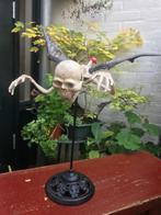 bizar beeld, vliegende skeletvampier, Ophalen of Verzenden
