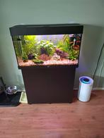 Nette aquarium rio 125, Ophalen, Gevuld zoetwateraquarium
