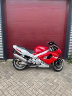Yamaha YZF 1000 R Thunder Ace Thunderace, Motoren, Bedrijf, Sport, Meer dan 35 kW, 1002 cc