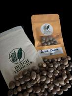 Butia Ordata Zaden - Exotische Palmboom, Ophalen of Verzenden, Gehele jaar, Volle zon, Zaad