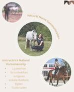 Instructrice dressuur & natural horsemanship, Ophalen of Verzenden, Nieuw