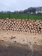 brandhout, haardhout, Blokken, Ophalen, 6 m³ of meer, Overige houtsoorten