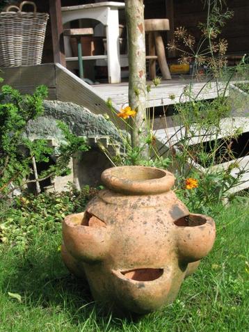 Oude Italiaanse aardbeienpot pot terracotta tuindecoratie beschikbaar voor biedingen