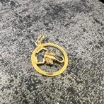 14 karaat gouden hanger schorpioen model, Ophalen of Verzenden, Zo goed als nieuw, Goud