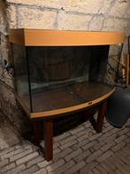 Juwel aquarium met gebogen glas voorzijde met tafel/plateau, Ophalen, Gebruikt, Leeg aquarium