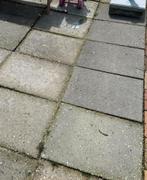 GRATIS grindtegels 60x40 (16 stuks), Tuin en Terras, Ophalen, Gebruikt, 10 m² of meer, Beton
