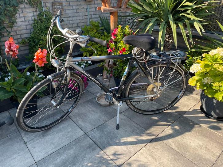 Herenfiets Gazelle, Fietsen en Brommers, Fietsen | Oldtimers, 55 tot 59 cm, Ophalen