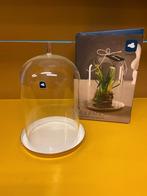 stolp Leonardo Tulipano glazen stolp met onderbord, Ophalen of Verzenden, Nieuw