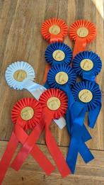 Rozetten leuk voor een pony kamer, Ophalen of Verzenden, Zo goed als nieuw