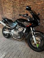 Te koop mooie honda cb600 s, Motoren, Motoren | Honda, Particulier, 600 cc
