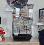 Vogelkooi 2 maal, Ophalen, Zo goed als nieuw, Metaal, Vogelkooi