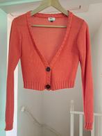 warmoranje vestje van Heart, Heart, Nieuw, Oranje, Ophalen of Verzenden
