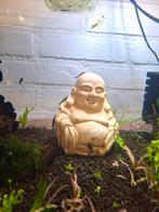 Algeneter borstelneuzen, Vis, Zoetwatervis